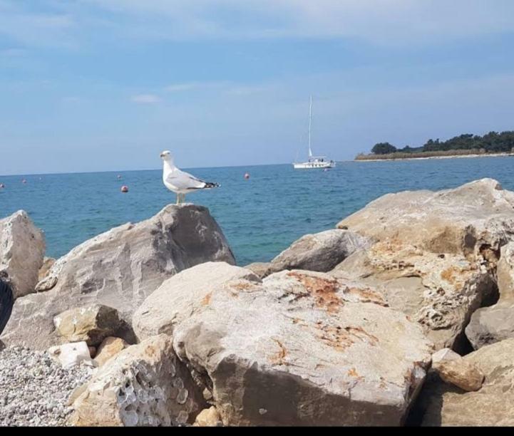 Apartments Relax Zone Umag Eksteriør bilde