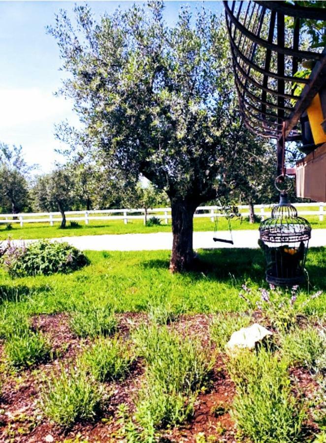 Apartments Relax Zone Umag Eksteriør bilde